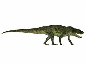 Archosaur: Postosuchus reptile from the Triassic Period