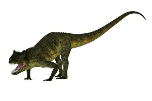 Crocodile: Postosuchus reptile, side view on white background