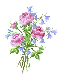 Harebells: Posy of pink roses and harebells