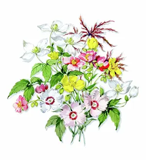 Buttercups: Posy of summer flowers