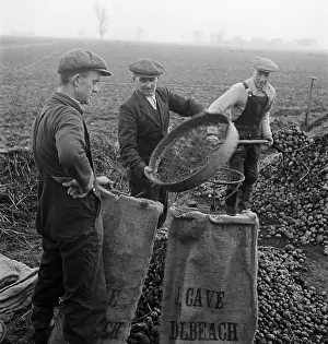 Fens: Potato Farming