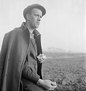 Fens: Potato Farming