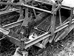Scrapes: POTATO HARVESTER