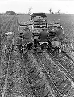 Intervals: POTATO PLANTING MACHINE