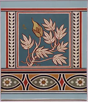 Monocot: Pothos glaucus