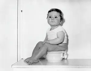 Potty: POTTY TRAINING