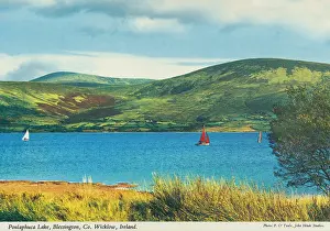 Blessington: Poulaphouca Lake, Blessington, County Wicklow, Ireland