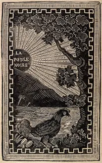 Poule: POULE NOIRE:CONJURING