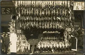Fishmonger: POULTERER - FISHMONGER