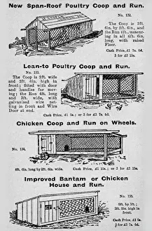Coops: Poultry coops