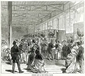 Pens: Poultry show at the Crystal Palace 1870