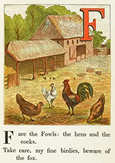 Gallus: POULTRY IN FARMYARD 1867
