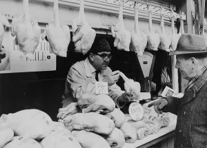 22th: Poultry stand at Naschmarkt on Vienna River. 22th