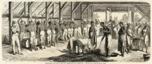 Pounding: POUNDING COFFEE, SURINAM