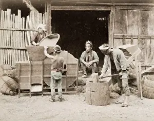 Pounding: Pounding rice - the last cleaning using fans, Japan