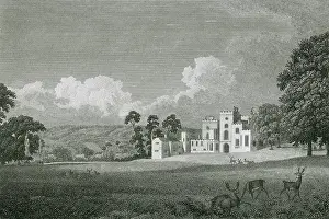 Powderham: POWDERHAM CASTLE, Devon