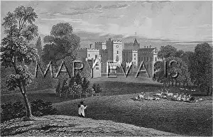 Powderham: POWDERHAM CASTLE/DEVON