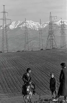 Poles: Power transmission line poles
