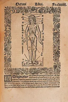 Influence: Practica Compendiosa Artis Raymundi Lulli, book eighth, 1523