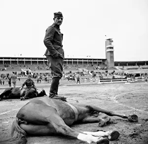 Sokol: Prague - 1938 - horse