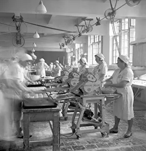 Buns: Prague 1947. Workers in bakery using machine to