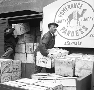 Vitamins: Prague - fruit delivery