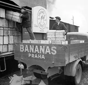 Vitamins: Prague - fruit distribution