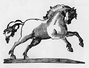 Prancing: Prancing horse