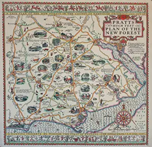 Pratt's High Test Plan of the New Forest