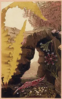 Aesop: A PRAWN AND OTHER THINGS