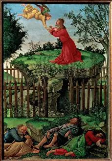 Olive: Prayer of the Garden, by Botticelli