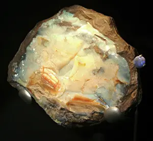 Opalescence: Precious opal in ironside nodule