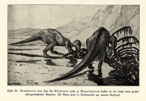 Megalosaurus: Predatory Megalosaurus feeding on a dinosaur corpse