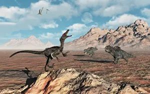 Ceratopsia: A predatory Velociraptor stalking a pair of Protoceratops