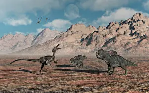 Ceratopsia: A predatory Velociraptor stalking a pair of Protoceratops
