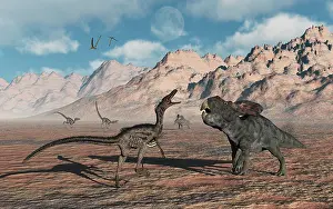 Ceratopsia: A predatory Velociraptor stalking a pair of Protoceratops
