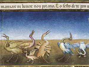 Vergine: DE PREDIS, Cristoforo (1440-1486). Stories of