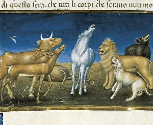 Mondo: DE PREDIS, Cristoforo (1440-1486). Stories of