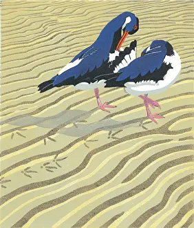 Linocut: Preening Pair - two Oystercatchers on the beach