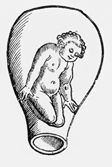 Pregnancy: Preformationism, 18th Century