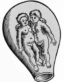 Pregnancy: Preformationism, 18th Century