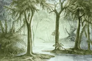 Paleontological: Prehistoric, Carboniferous Landscape