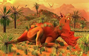 Triceratops: A prehistoric Centrosaurus dinosaur petrified