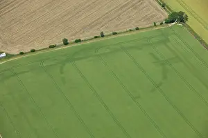 Cropmark: Prehistoric circular causewayed henge, nr New Farm, Cambs