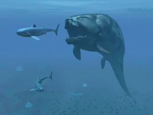 Osteichthyes: A prehistoric Dunkleosteus fish prepares to eat a primitive