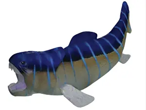Terrelli: Prehistoric era Dunkleosteus fish