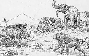 Deinotherium: Prehistoric Extinct Animals