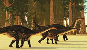 Brontosaurus: A prehistoric forest dwarfs huge Apatosaurus sauropod