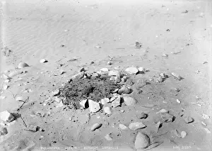Hearth: Prehistoric Hearth - Dundrum Sand Hills