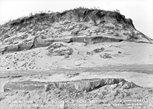 Exposed: Prehistoric Hearths, Dundrum, Typical Section, Old Land Surf